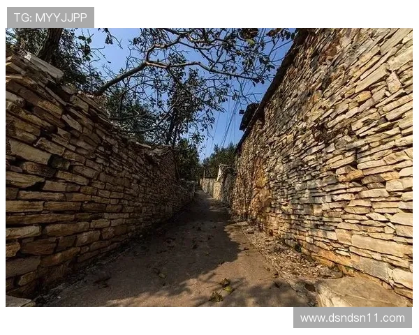 北京塞车开奖历史记录完整查询与回顾 北京塞车开奖历史记录完整查询与回顾